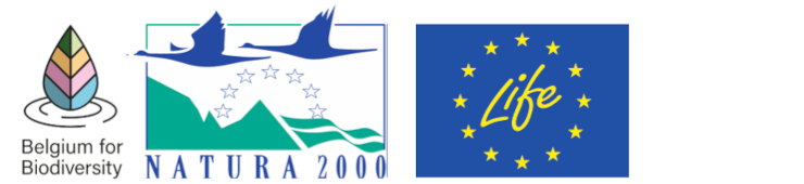 Logos du projet LIFE B4B, Natura 2000 et LIFE