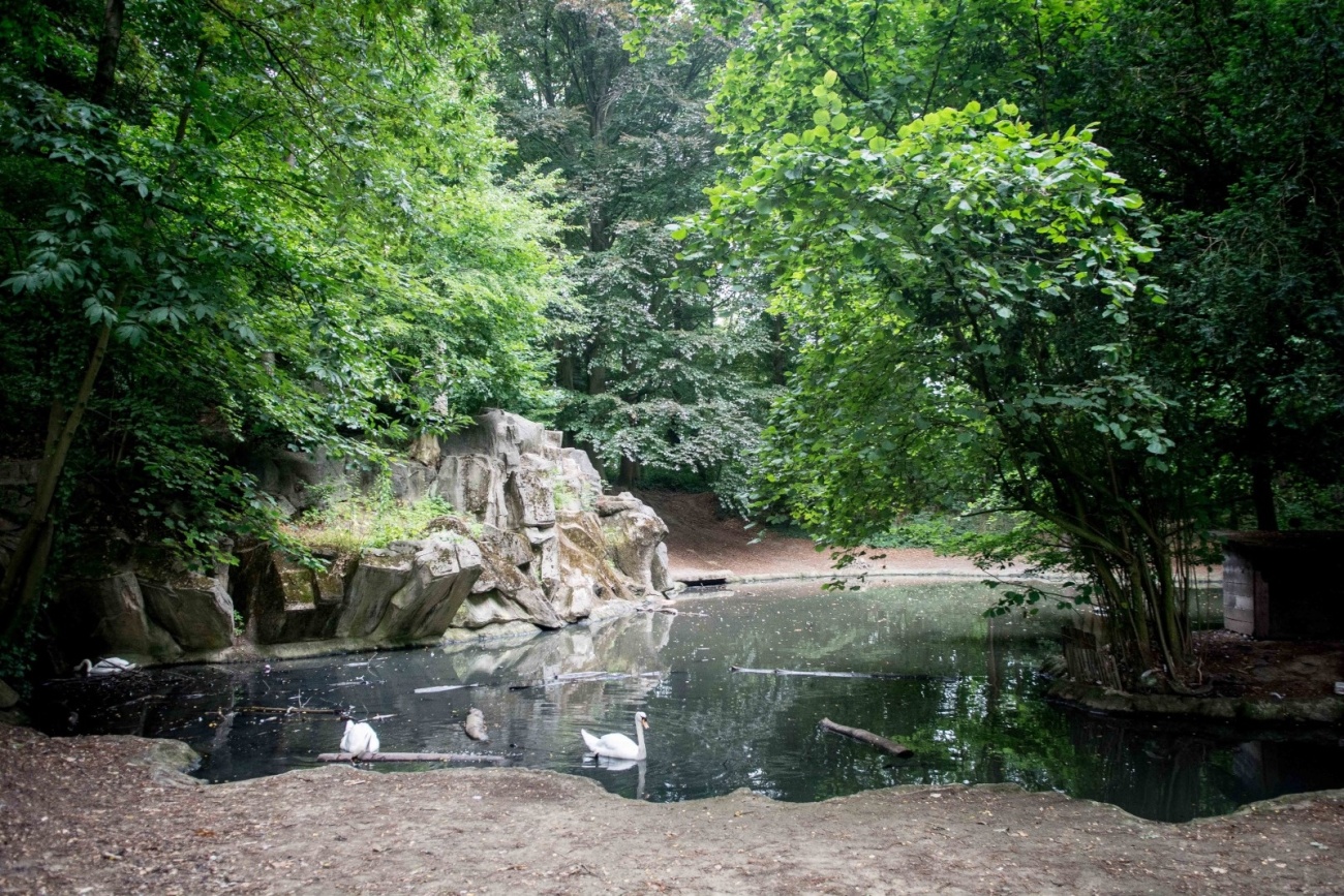Parc de la sauvagère