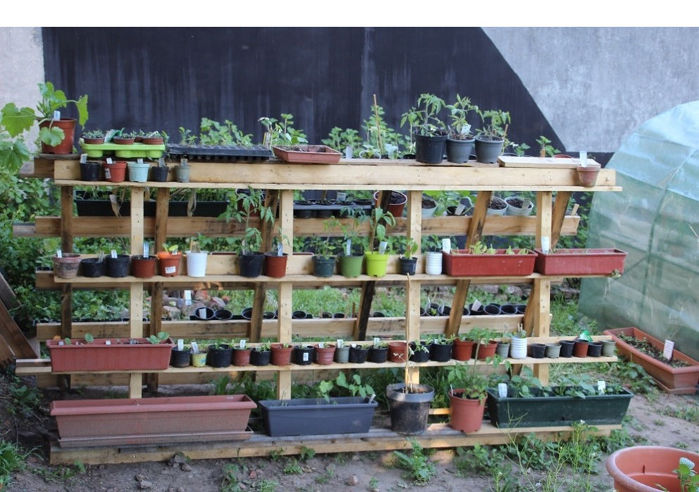 Potager collectif