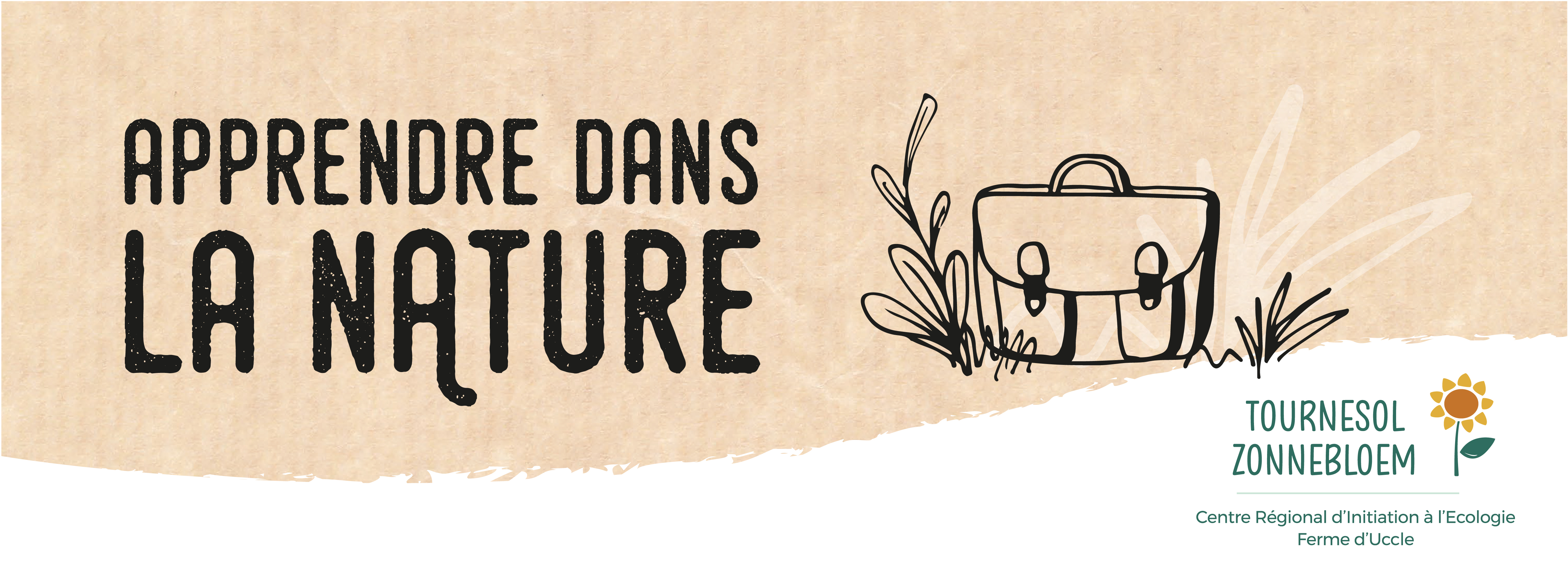 Logo : Apprendre dans la nature - ASBL tournesol