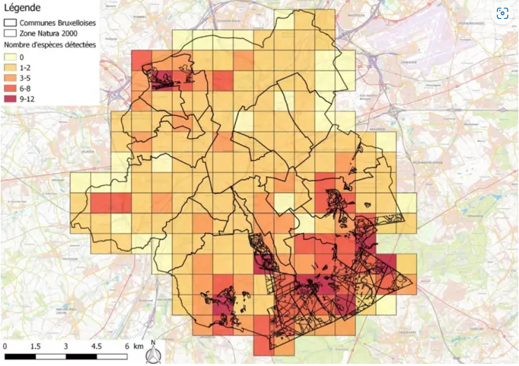 chauves-souris map