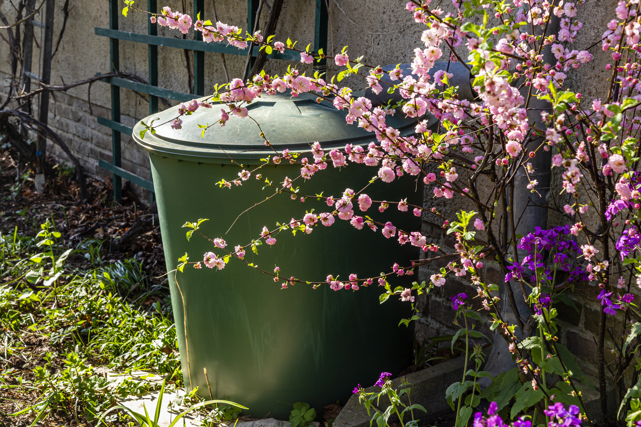 Een regenwatertank met kraan in een tuin