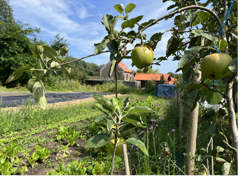Photo : La Ferme du Chaudron