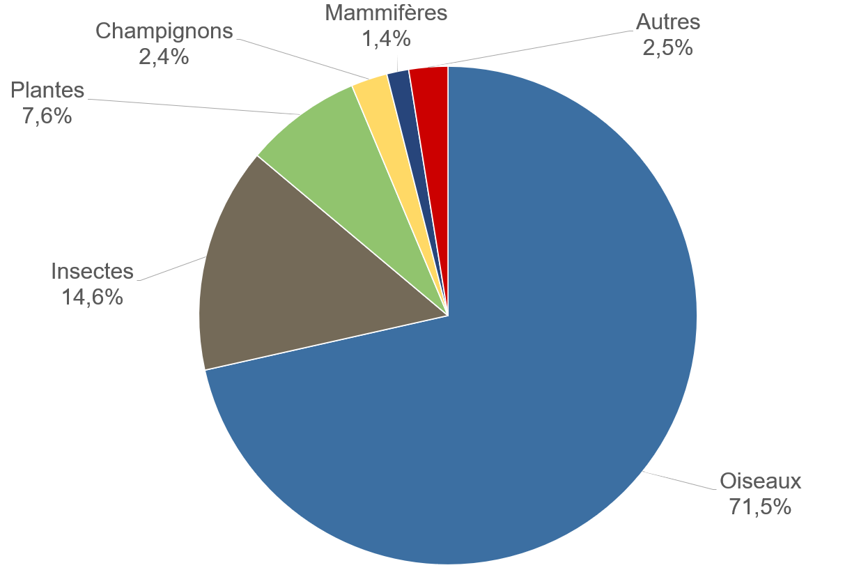 Graphique : répartition du nombre d’observations entre les différents groupes taxonomiques (Région bruxelloise, novembre 2024)