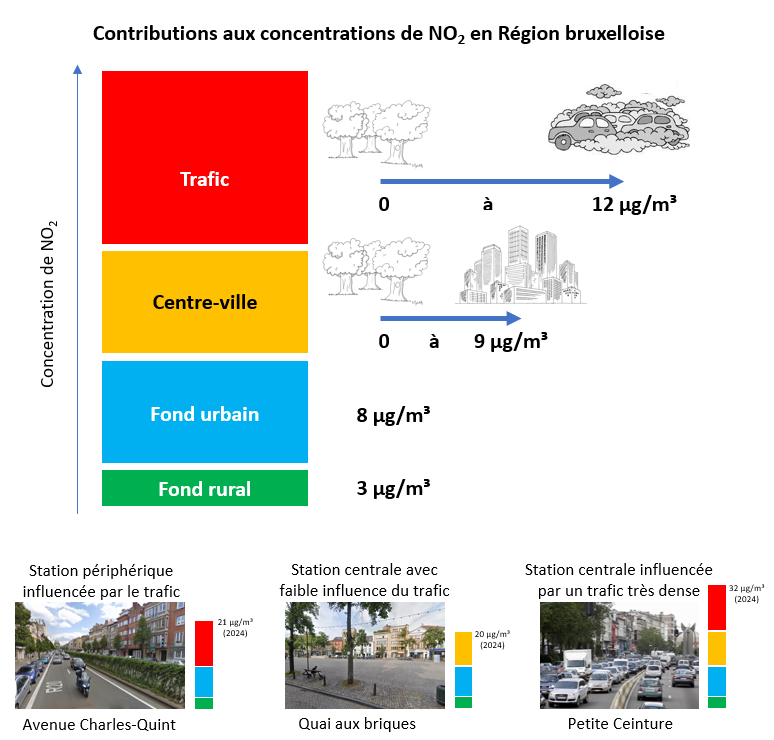 Graphique : Les concentrations de NO2 dans la Région de Bruxelles-Capitale sont fortement influencées par des sources locales