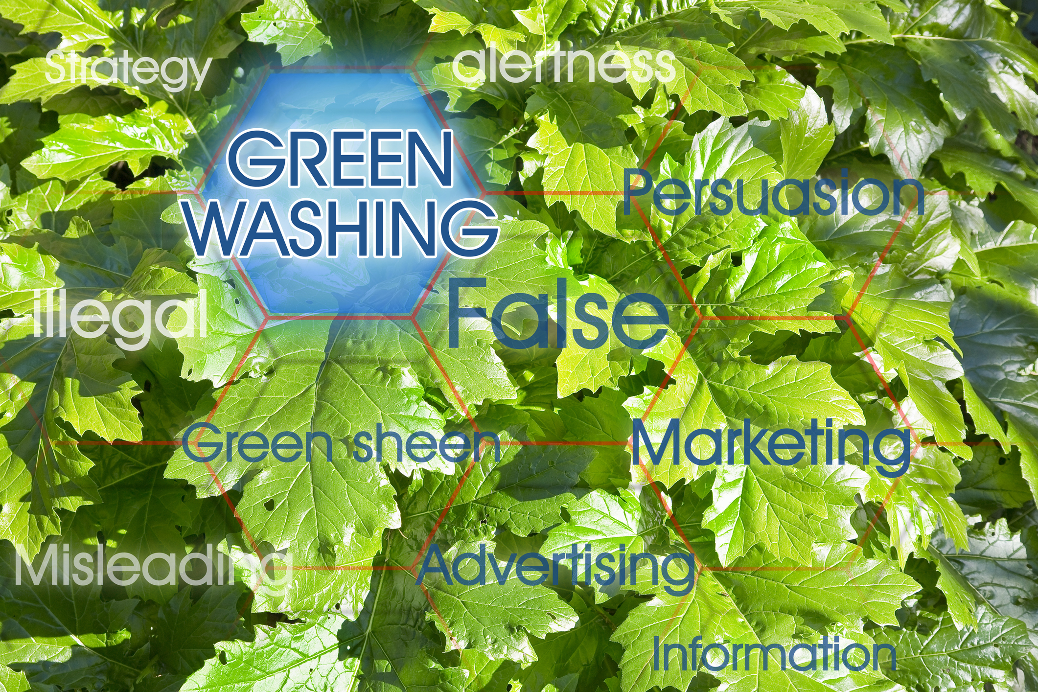 Greenwashing