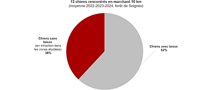 Graphique : près de 4 chiens sur 10 ne sont pas tenus en laisse dans des zones où celle-ci est pourtant obligatoire