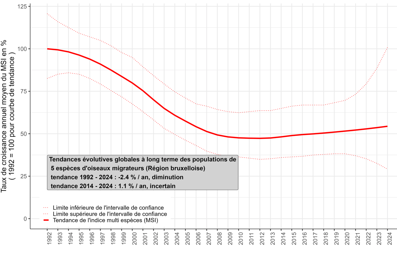 Graphique :  Entre 1992 et 2024, l’indice multispécifique relatif à 5 espèces d’oiseaux migrateurs a globalement été réduit de plus de moitié