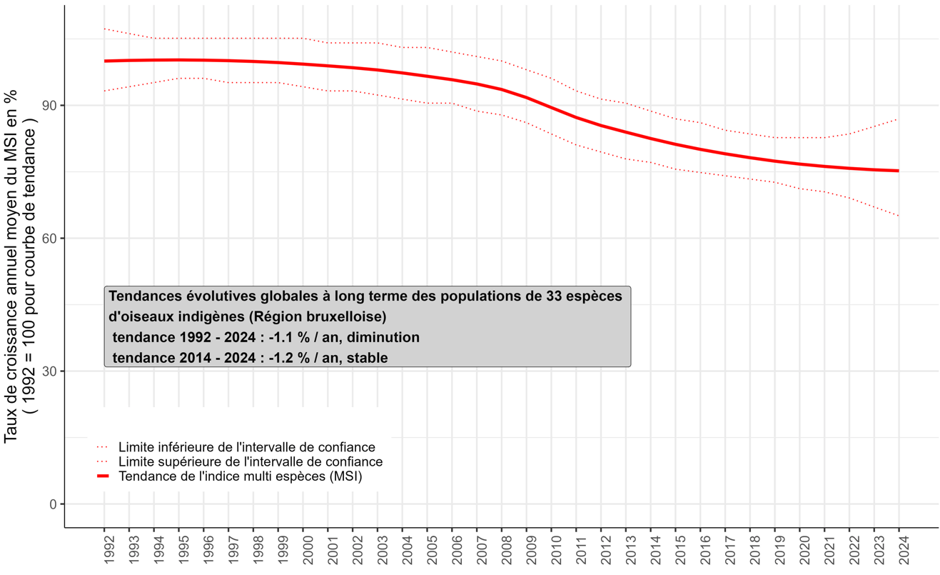 Graphique : Entre 1992 et 2024, l’indice multispécifique relatif à 33 espèces d’oiseaux indigènes communes s’est réduit de 30%