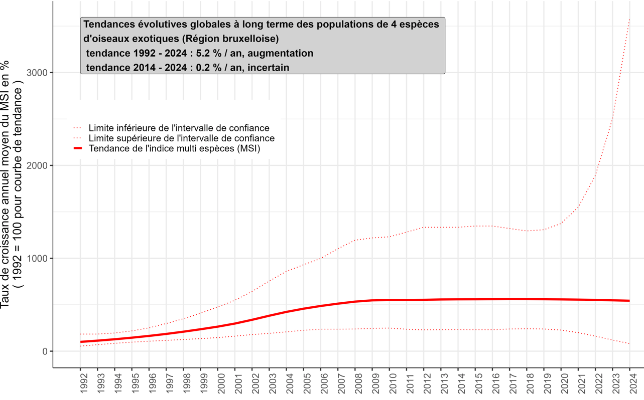 Graphique : Entre 1992 et 2024, l’indice multispécifique relatif à 4 espèces communes d’oiseaux exotiques a globalement été multiplié par 5