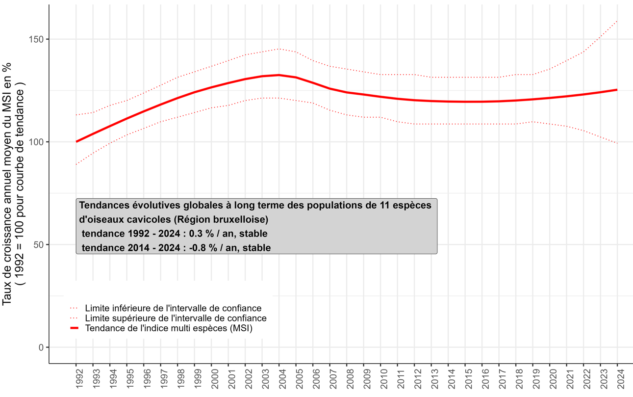 Graphique : Entre 1992 et 2024, l’indice multispécifique relatif à 11 espèces indigènes d’oiseaux cavicoles est stable à moyen et long terme