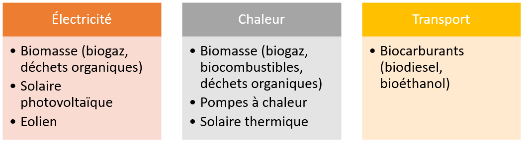 Graphique : Classement des sources renouvelables d’énergie en Région bruxelloise, en fonction de leur utilisation
