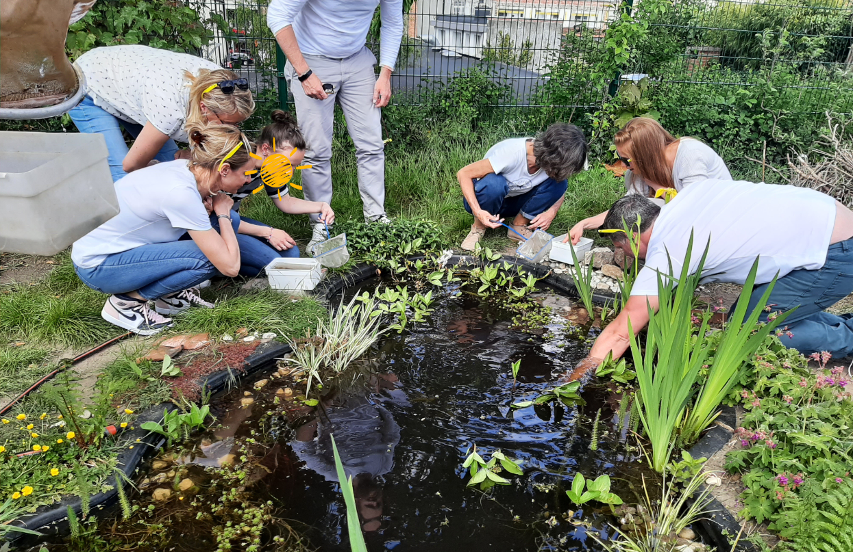 Accueillons la biodiversité !