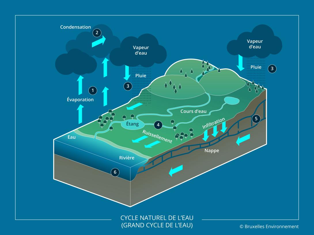 L'eau de distribution (eau potable)