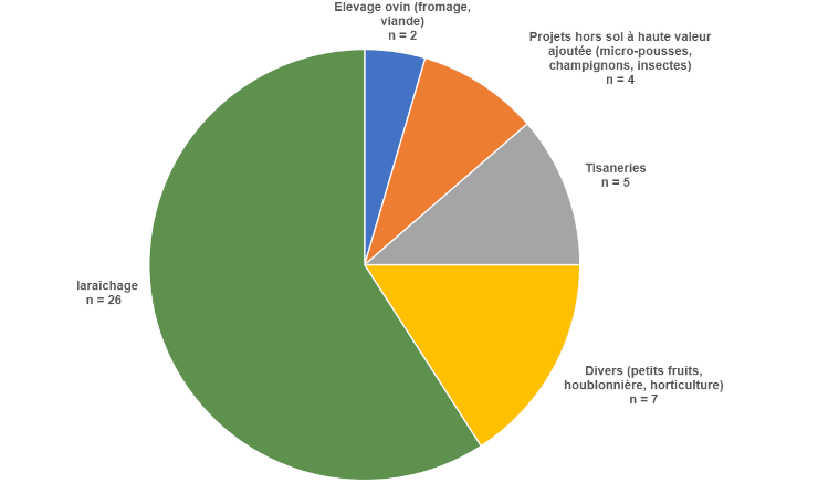 Graphique : Répartition (en nombre) des projets d’agriculture urbaine professionnelle par type de production, hors fermes pédagogiques (Région bruxelloise, 2024)