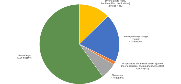 Graphique : Répartition (en nombre) des projets d’agriculture urbaine professionnelle par type de production, hors fermes pédagogiques (Région bruxelloise, 2024)