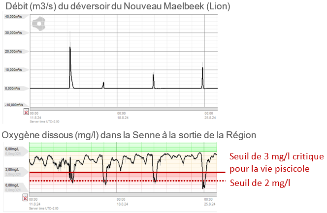 Graphique : Un déversement important entraine une chute de la concentration en oxygène dissous