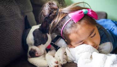 Enfant qui dort avec son chien