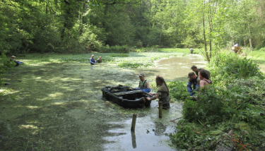 Espèces invasives dans l'eau douce