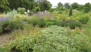 Jardin Jean Massart