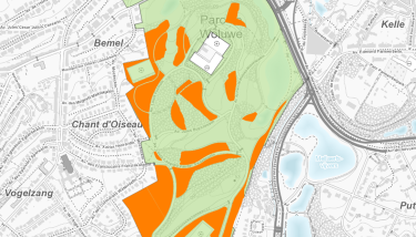 Régénération des massifs boisés du parc de Woluwe