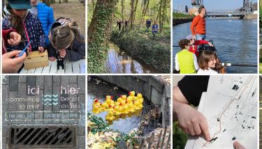 Campagne NL