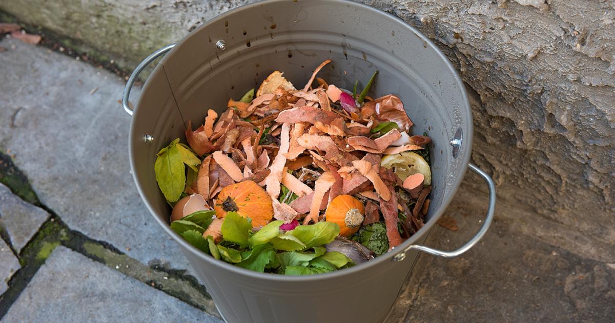 Découvrir le compostage / Conseils pour vous lancer / La saison