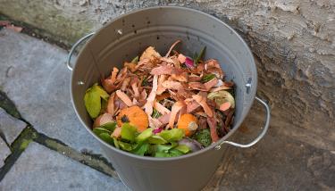 Compost
