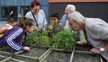 personnes autour d'un potager