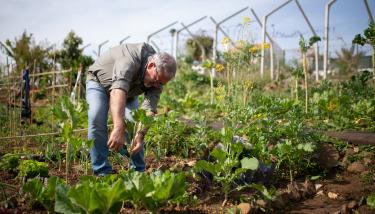 Personne qui s'occupe de son potager