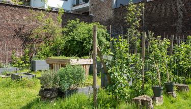 jardin urbain potager